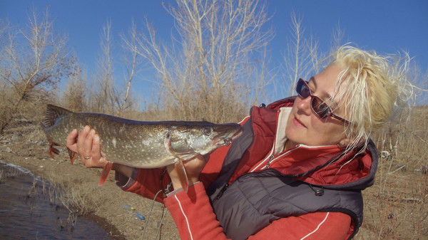 Елена Мирюкова