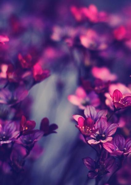 Наталья Левашова