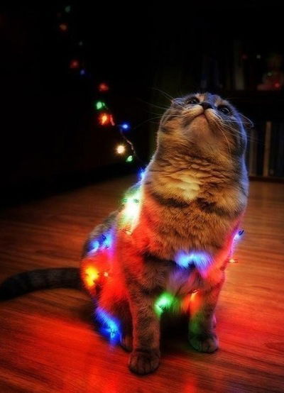 Маша Белоглазова