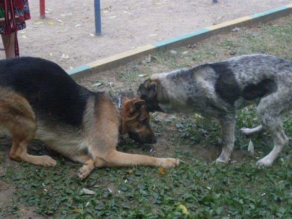 Сергей Банковский