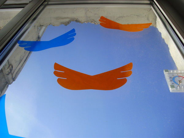 Востриков Дмитрий