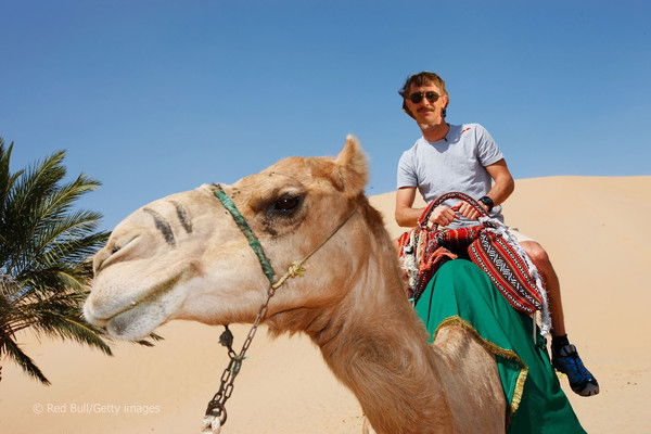 Сергей Палкин