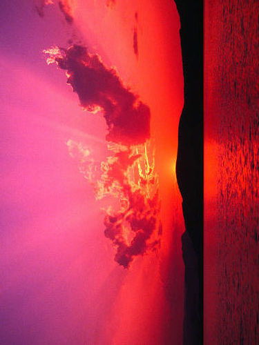 Арина Егодина