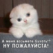 Владимир Горшков