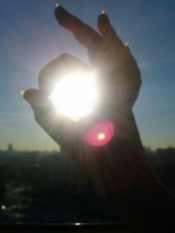 Носакова Дарья