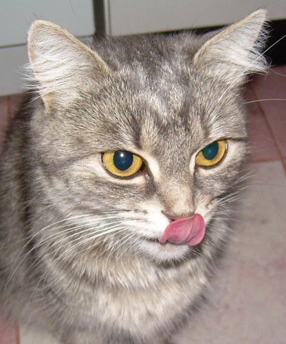 Надежда Лунёва