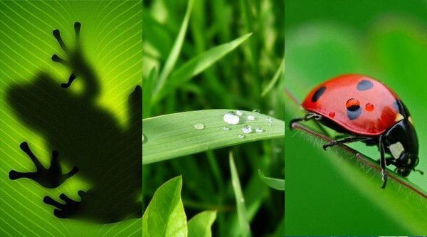 Жанночка ***