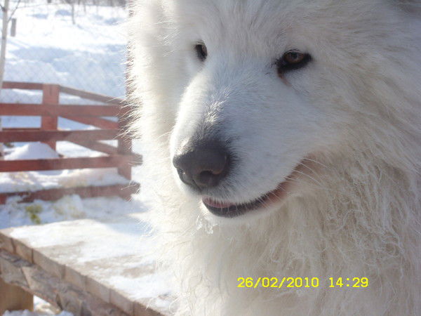 Татьяна Анцупова