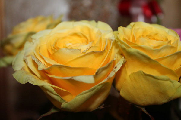 Кристина Мельничук