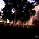 Максим Стерлядев