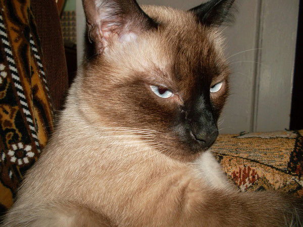 Людмила Киселёва