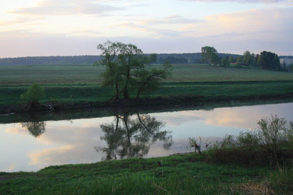 Александр Немеров
