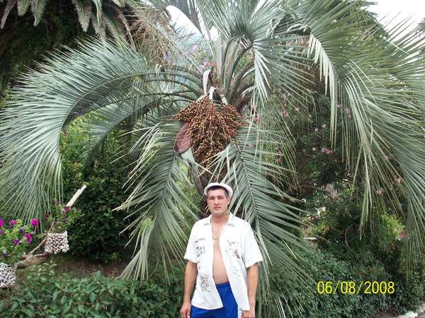 Сергей Шуряшкин