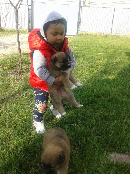 Айжан Ержанова