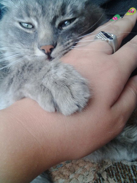 Татьяна Комарова