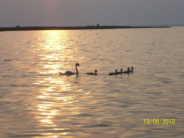 Марина Петрова