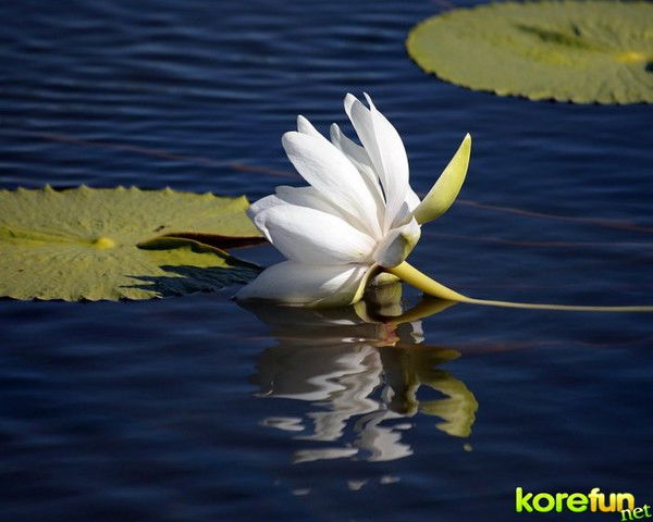 Жанара Жумабаева