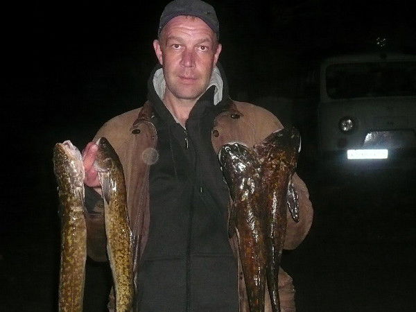 Андрей Куложенко