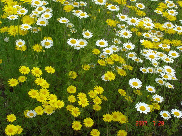 Ирина Зотова