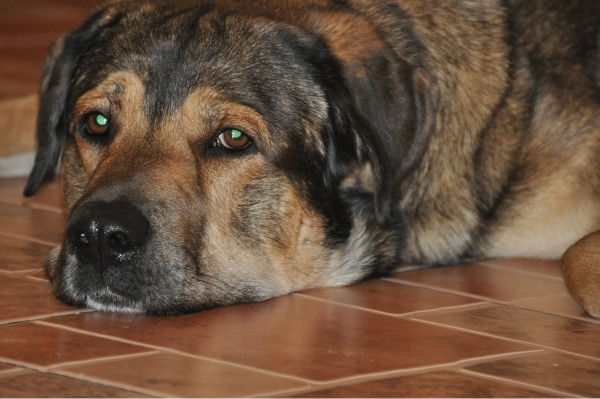 Анна Илюхина