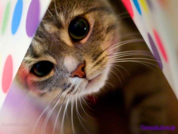 Оксана Жидкова