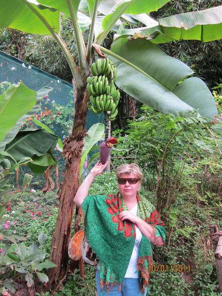 Наталья Кондратенко