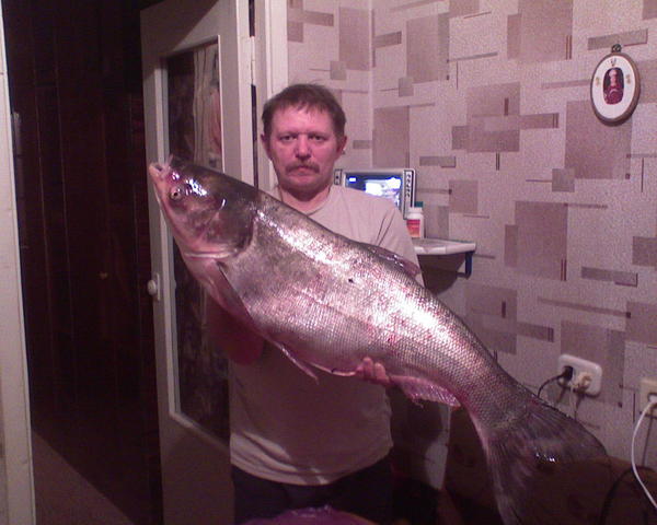 Борис Ваулин