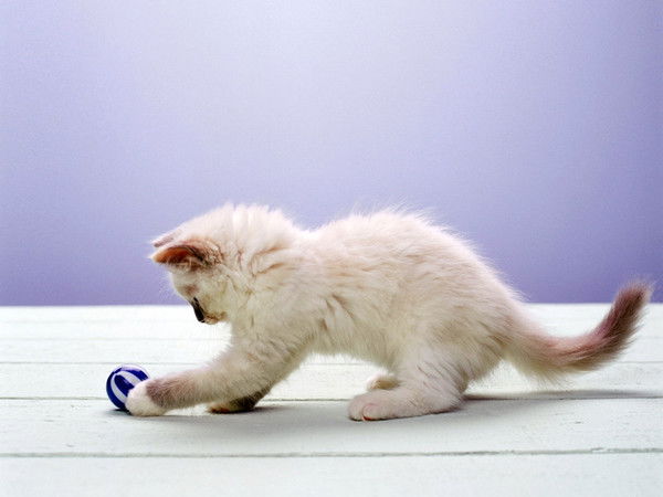 Сирина Минсадикова