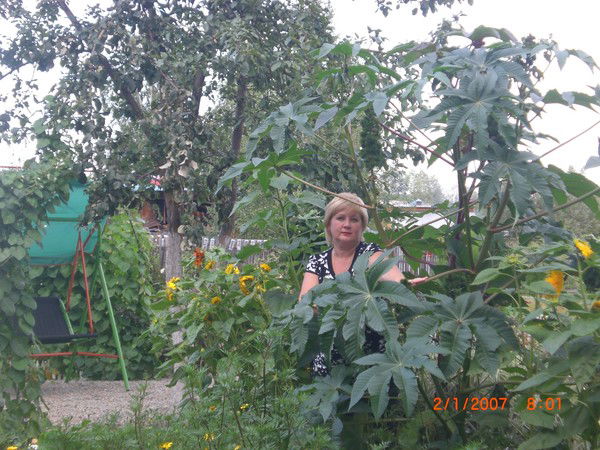 Елена Назарова