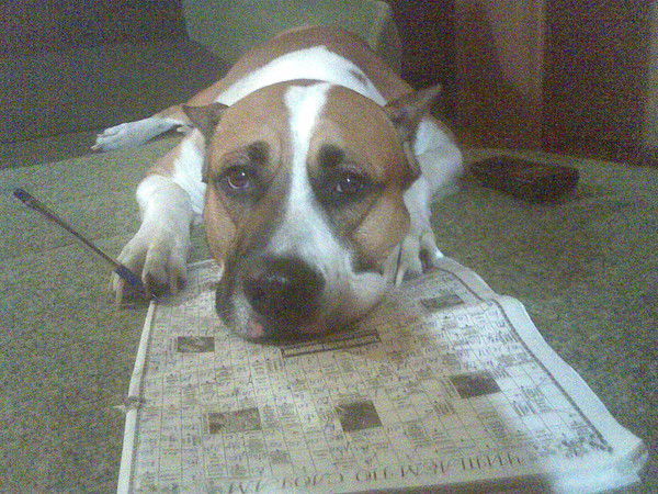 Лена Черная