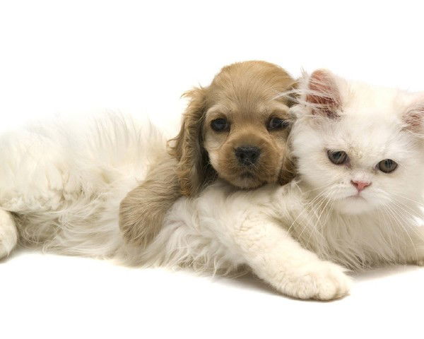 Ирина Иванова