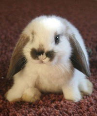 Анастасия Бланко