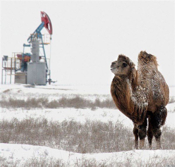 Еркнбек Кудайбергенов