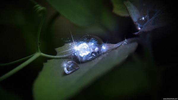 Юля Лавринова