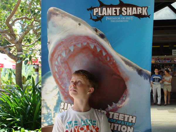 Вячеслав Волков