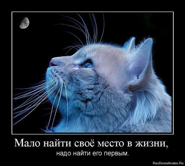 Свето4Ка Craz[Z]Zy