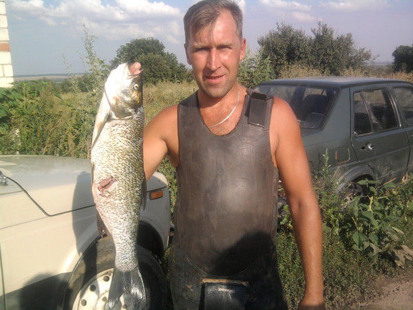 Михаил Тимбурский