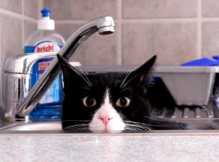 Аленка Иффанова