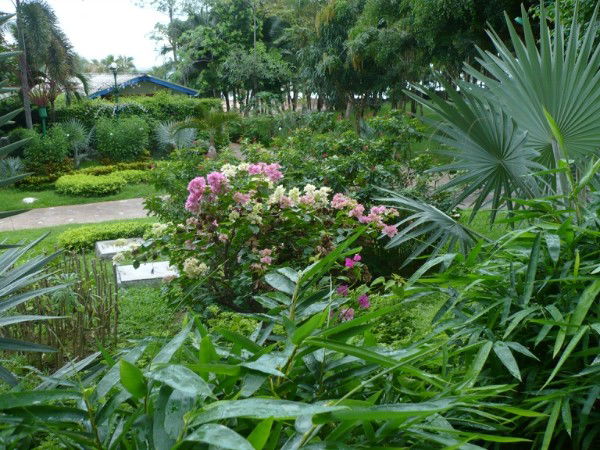 Евгения Жмайлик