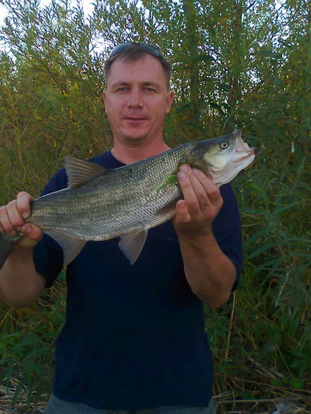 Александр Бляблин