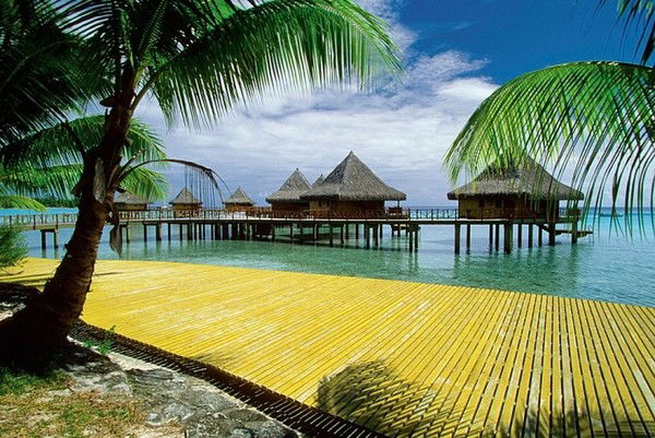 Александр Лихошерст