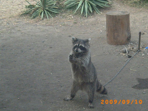 Валерия Моисеева