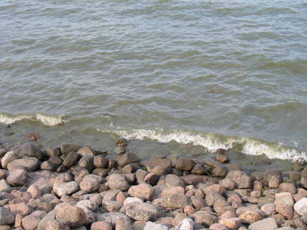 Лариса Булгакова