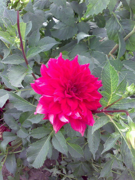 Марина Тарасова