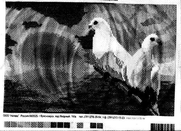 Александр Шваров