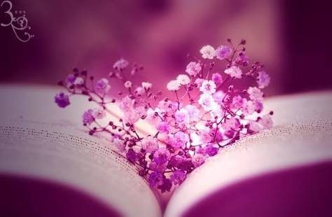 Светлана Зенгин