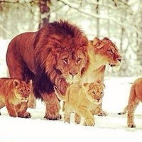 Сергей Брёхов