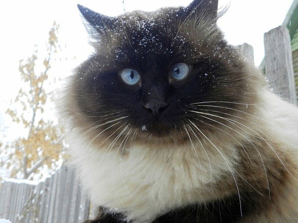 Галина Вельмяткина