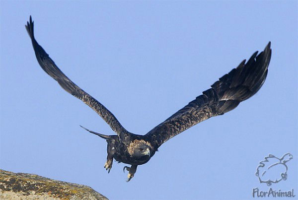 Нургуль Нанбаева