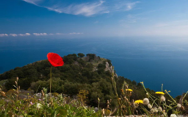 Маргарита Крайнова